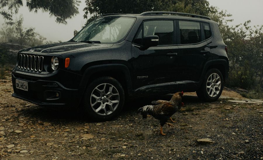 what are jeep lockers
